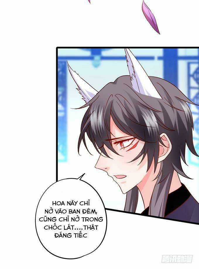 HỒ TIÊN HUNG BẠO Chapter 138 trang 30