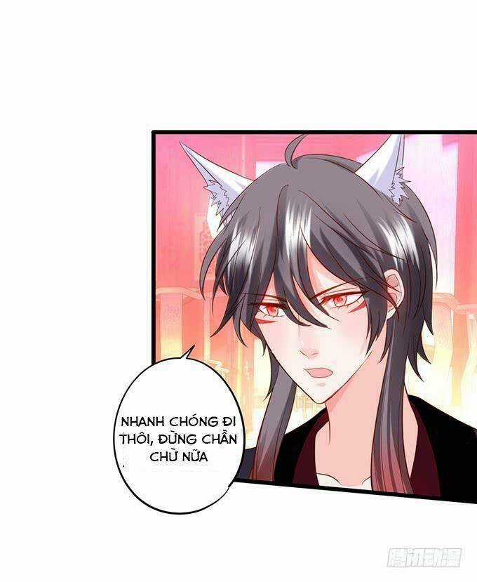 HỒ TIÊN HUNG BẠO Chapter 141 trang 40