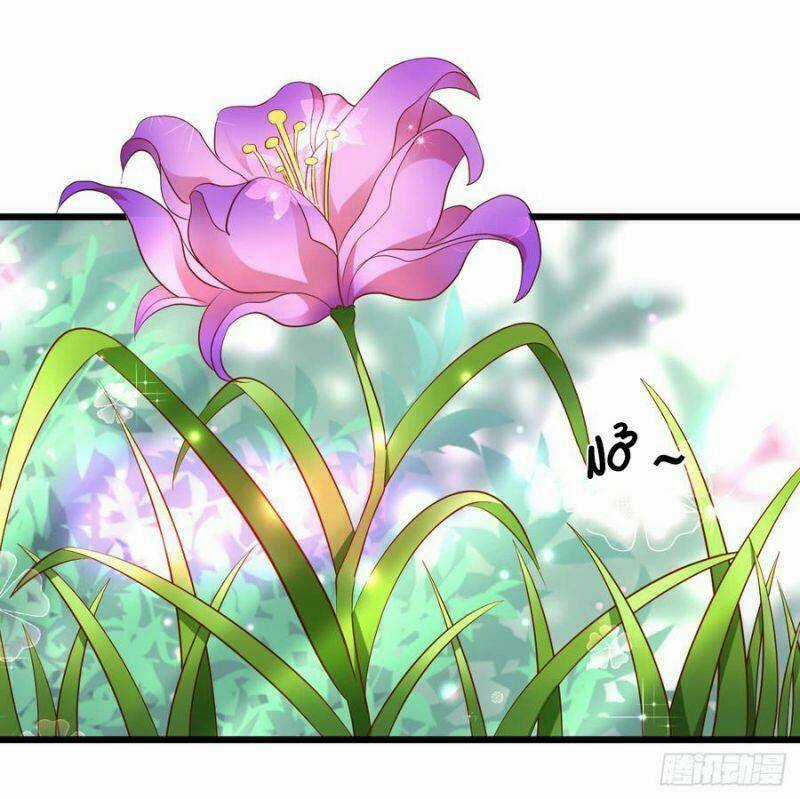 HỒ TIÊN HUNG BẠO Chapter 143 trang 49