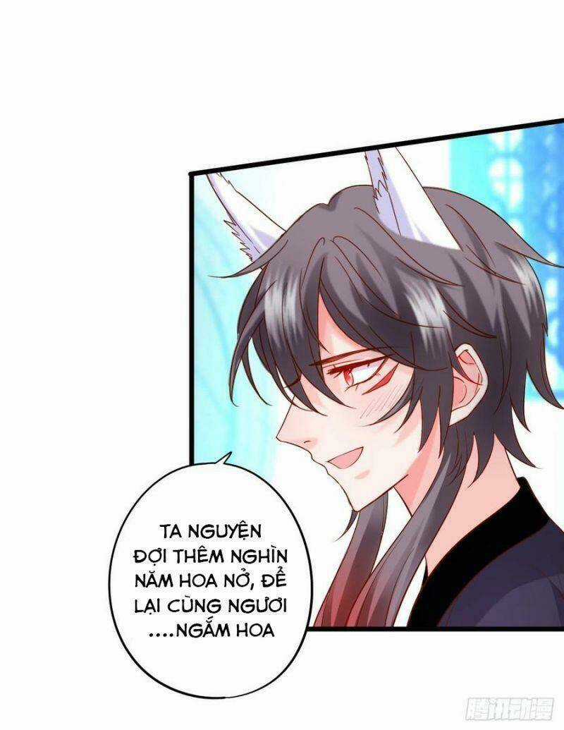 HỒ TIÊN HUNG BẠO Chapter 143 trang 52