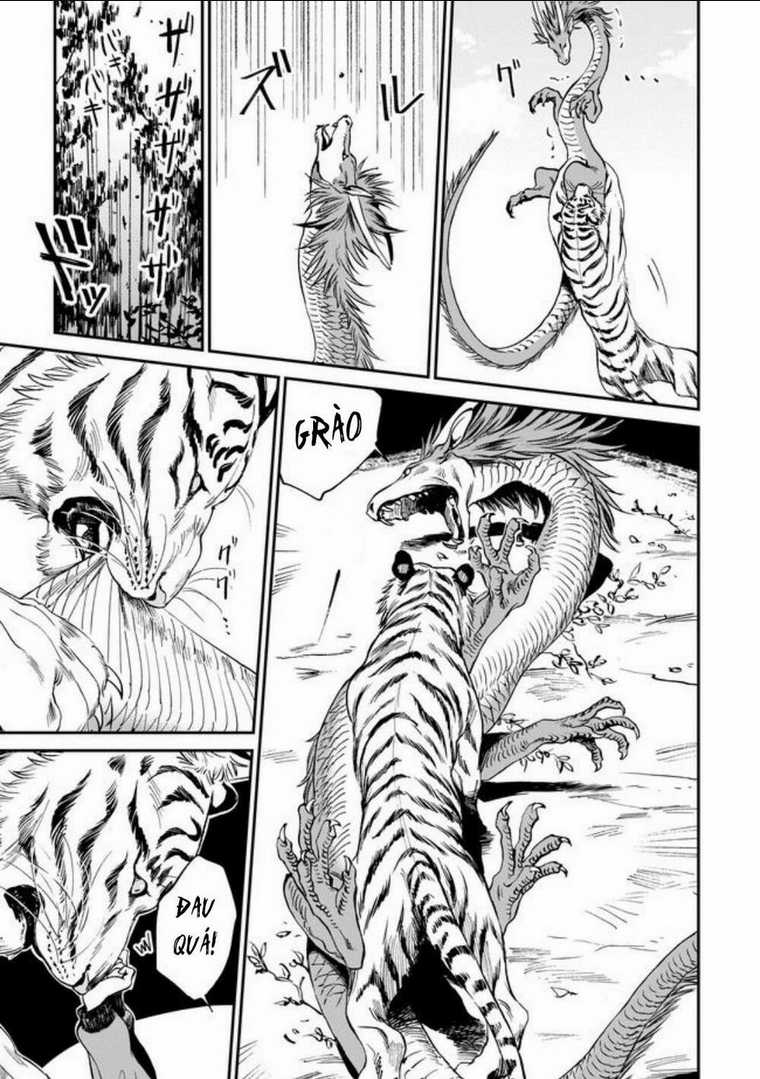 Hổ Vẫn Chưa Muốn Xơi Rồng Chapter 1 trang 11