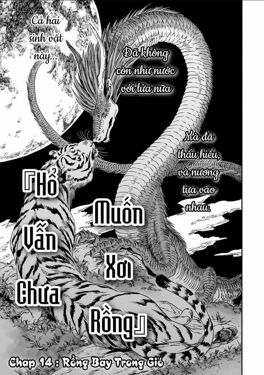 Hổ Vẫn Chưa Muốn Xơi Rồng Chapter 14 trang 4