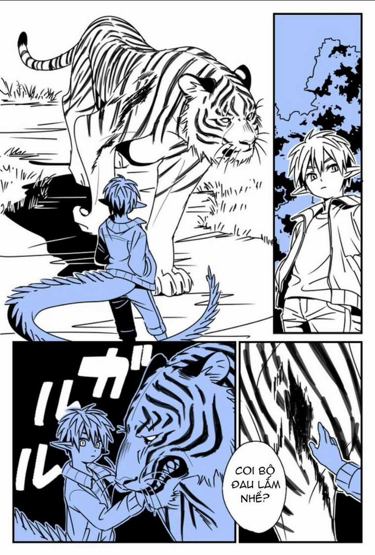 Hổ Vẫn Chưa Muốn Xơi Rồng Chapter 15.9 trang 15