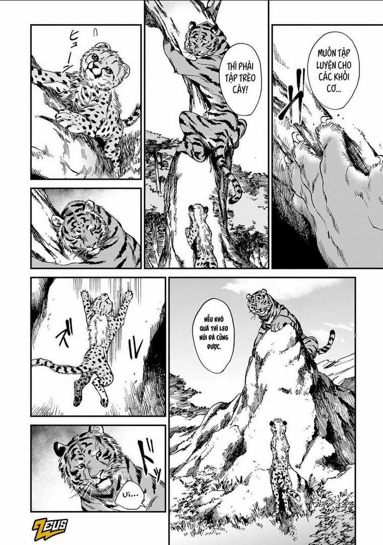 Hổ Vẫn Chưa Muốn Xơi Rồng Chapter 19 trang 12