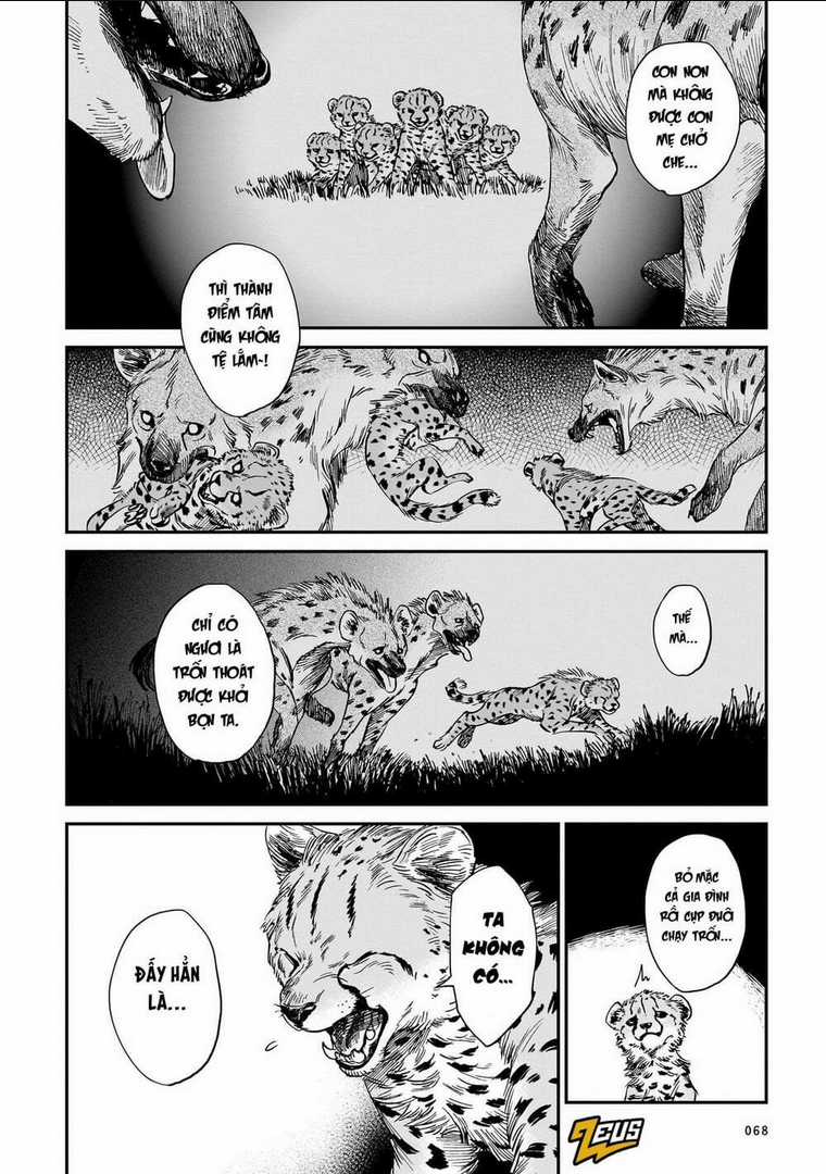 Hổ Vẫn Chưa Muốn Xơi Rồng Chapter 19 trang 18