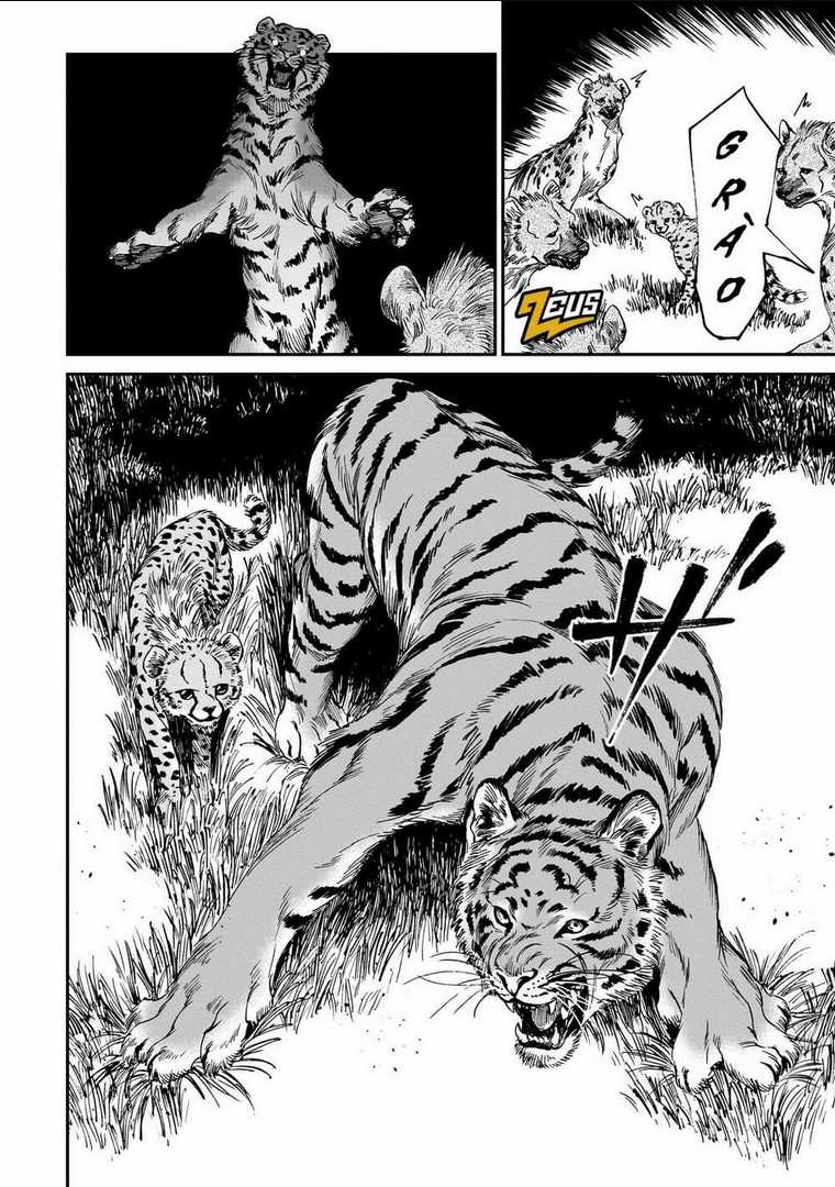 Hổ Vẫn Chưa Muốn Xơi Rồng Chapter 19 trang 20