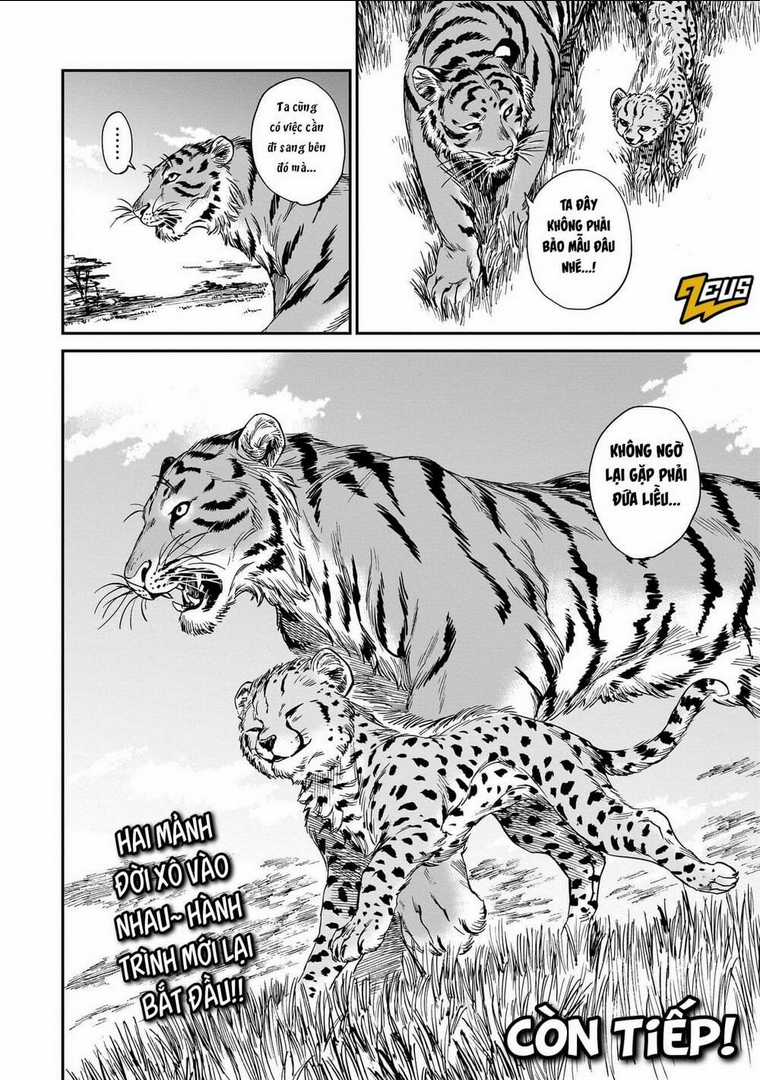 Hổ Vẫn Chưa Muốn Xơi Rồng Chapter 19 trang 28