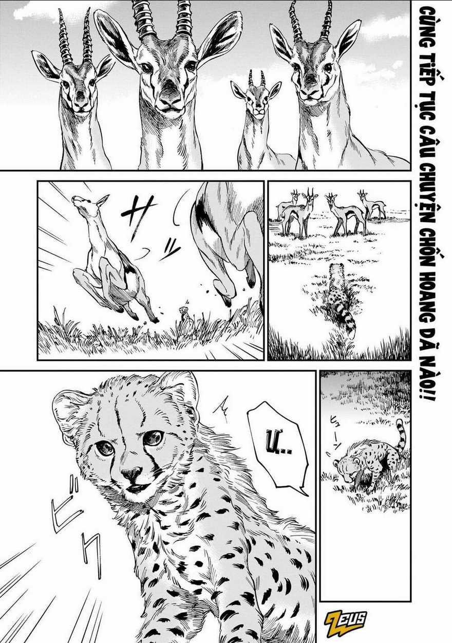 Hổ Vẫn Chưa Muốn Xơi Rồng Chapter 19 trang 3