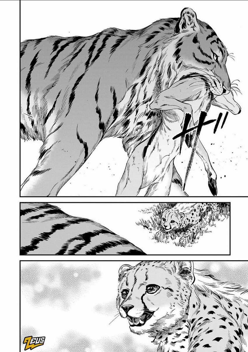 Hổ Vẫn Chưa Muốn Xơi Rồng Chapter 19 trang 4