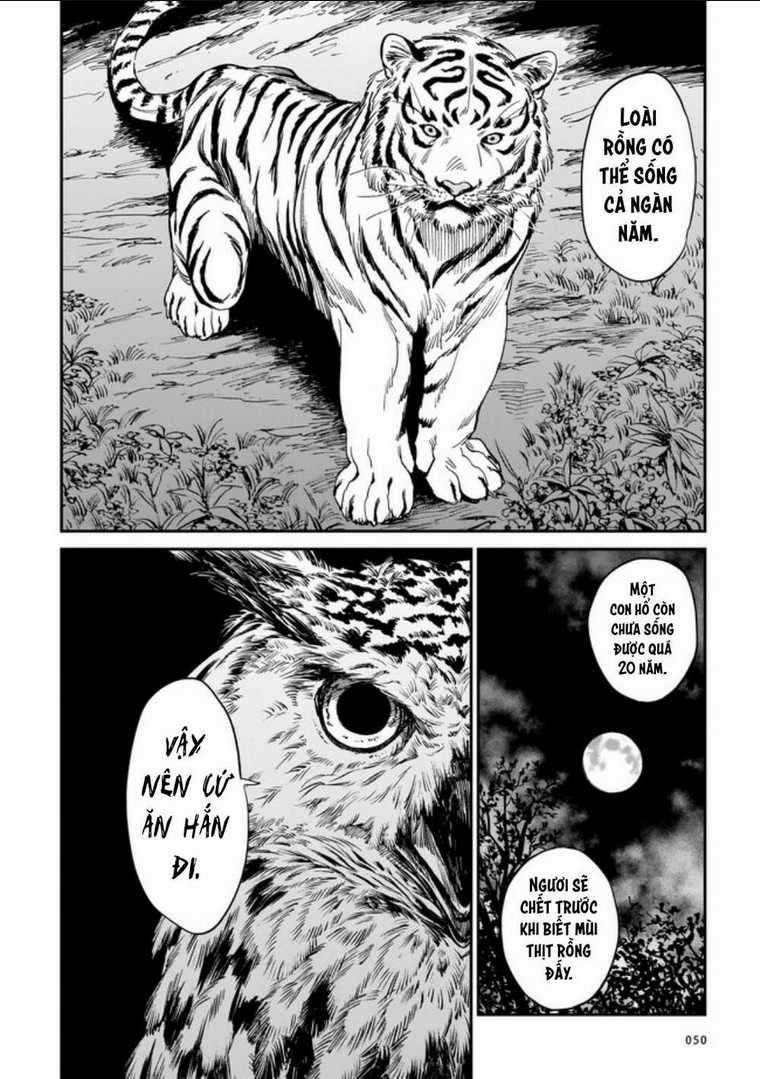 Hổ Vẫn Chưa Muốn Xơi Rồng Chapter 2 trang 13