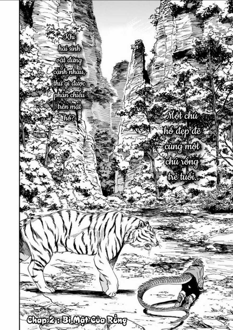 Hổ Vẫn Chưa Muốn Xơi Rồng Chapter 2 trang 3