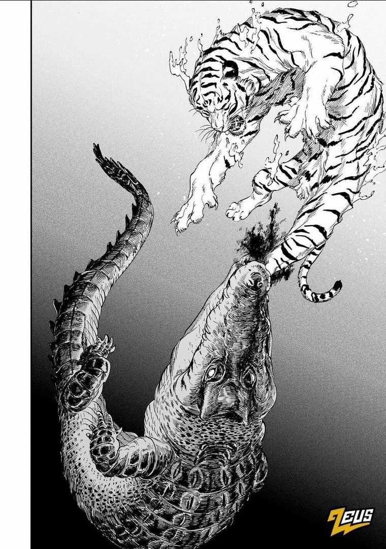 Hổ Vẫn Chưa Muốn Xơi Rồng Chapter 20 trang 8