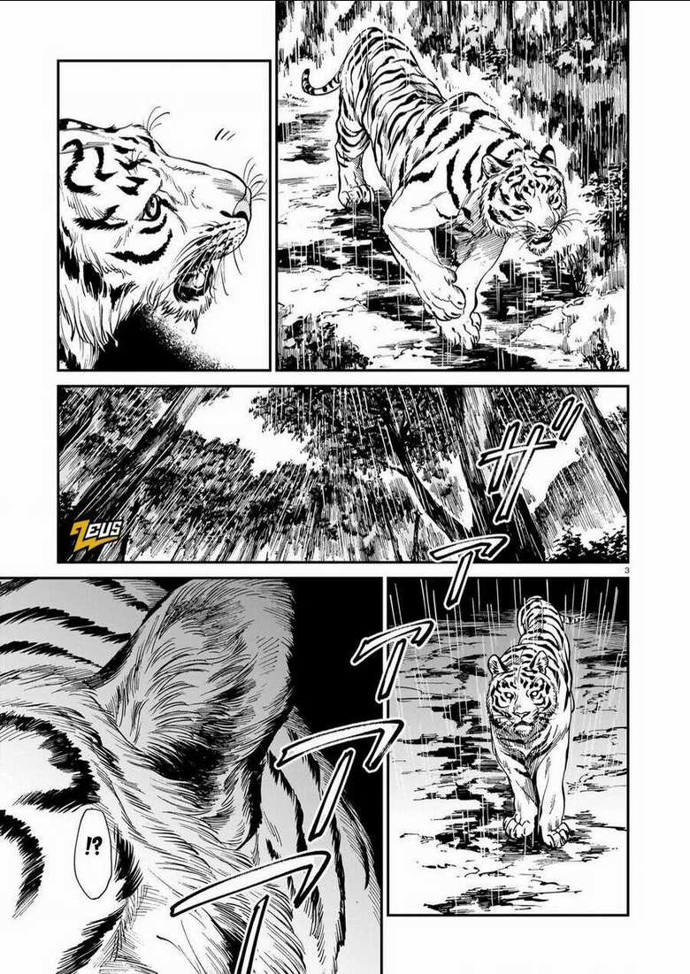 Hổ Vẫn Chưa Muốn Xơi Rồng Chapter 27 trang 3