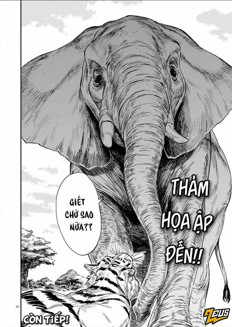 Hổ Vẫn Chưa Muốn Xơi Rồng Chapter 29 trang 25