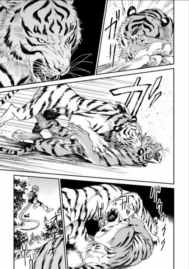 Hổ Vẫn Chưa Muốn Xơi Rồng Chapter 3 trang 11