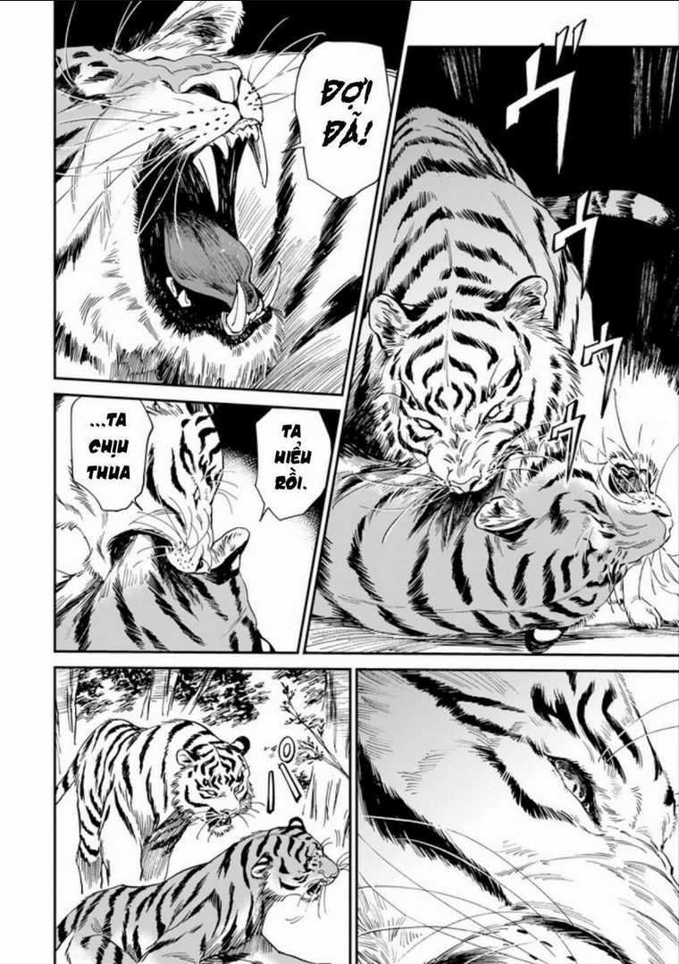 Hổ Vẫn Chưa Muốn Xơi Rồng Chapter 3 trang 12