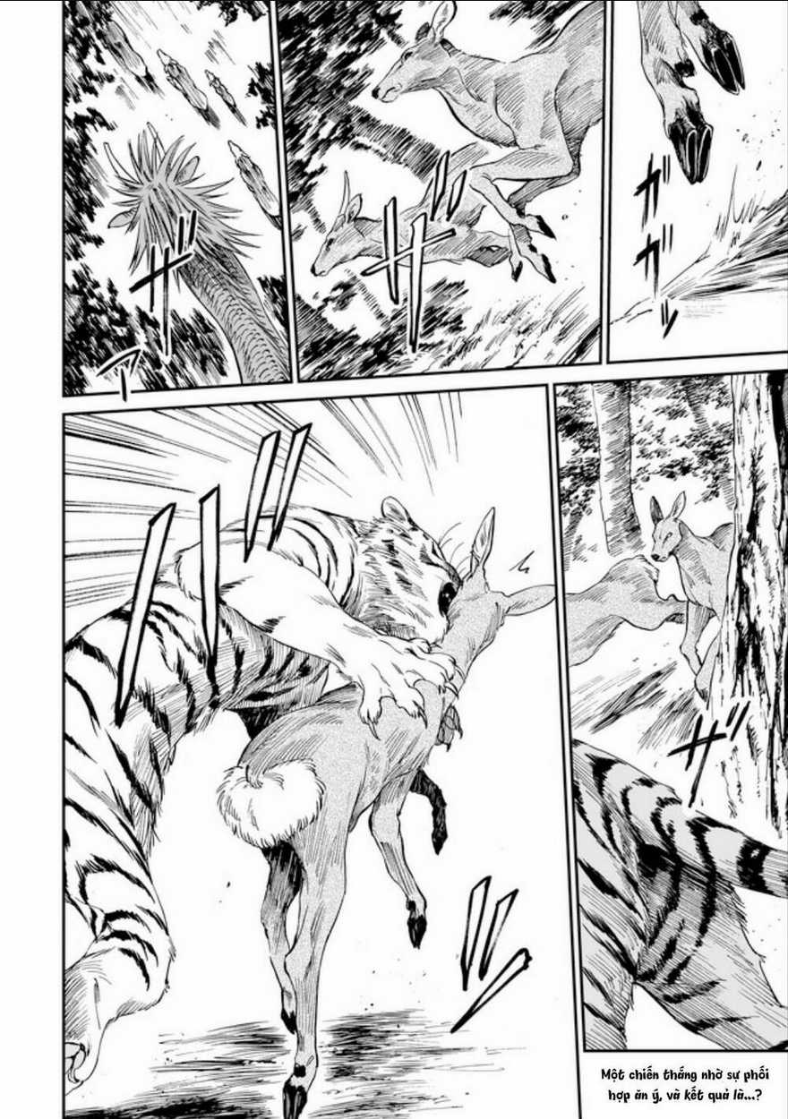 Hổ Vẫn Chưa Muốn Xơi Rồng Chapter 3 trang 3