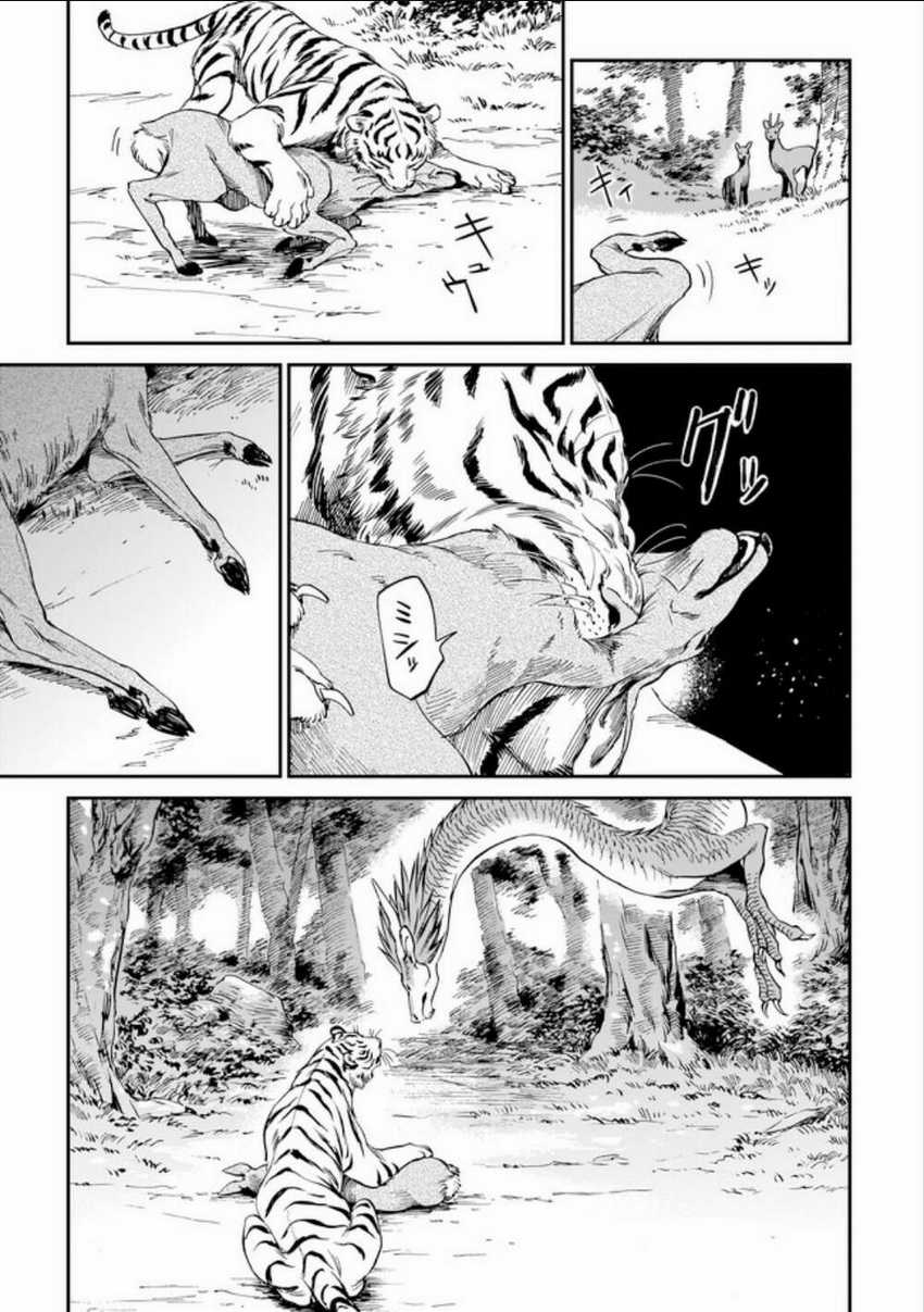 Hổ Vẫn Chưa Muốn Xơi Rồng Chapter 3 trang 4