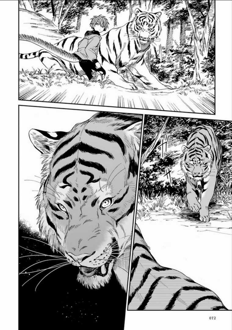 Hổ Vẫn Chưa Muốn Xơi Rồng Chapter 3 trang 8