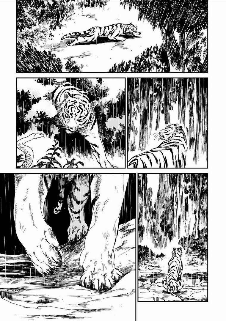 Hổ Vẫn Chưa Muốn Xơi Rồng Chapter 4 trang 14