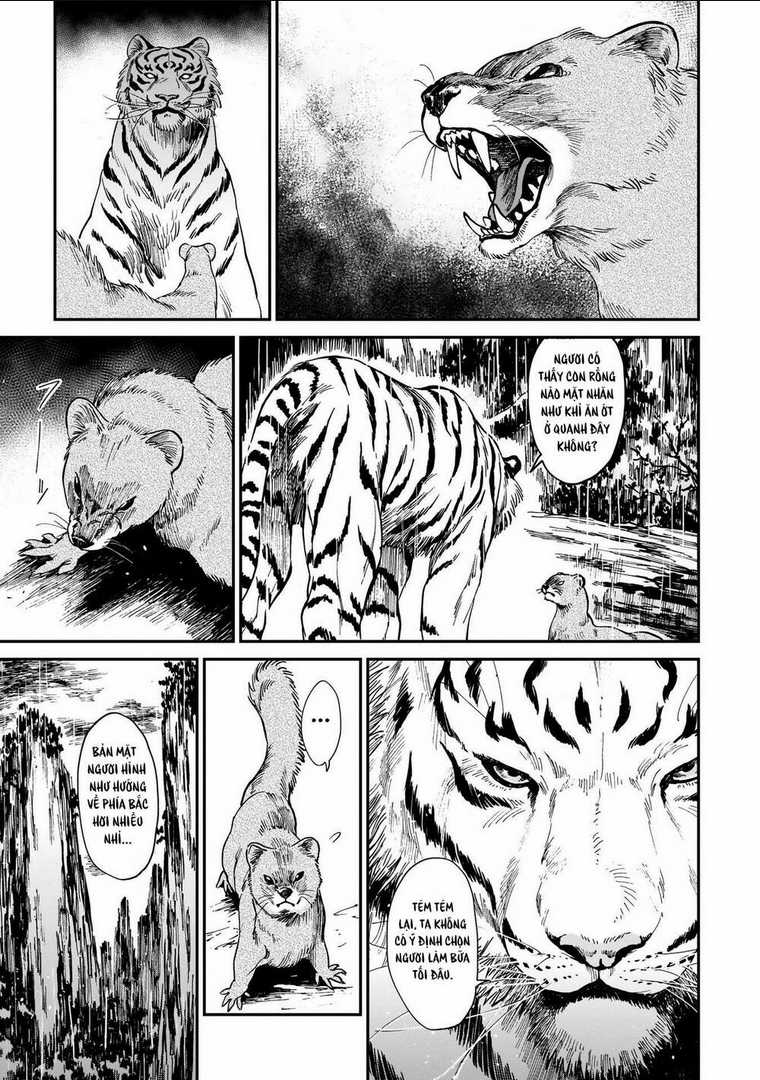 Hổ Vẫn Chưa Muốn Xơi Rồng Chapter 4 trang 16