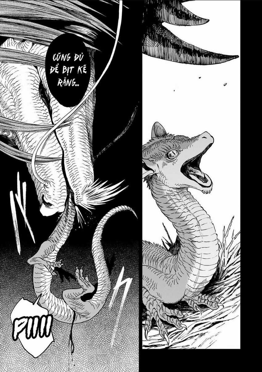 Hổ Vẫn Chưa Muốn Xơi Rồng Chapter 4 trang 4