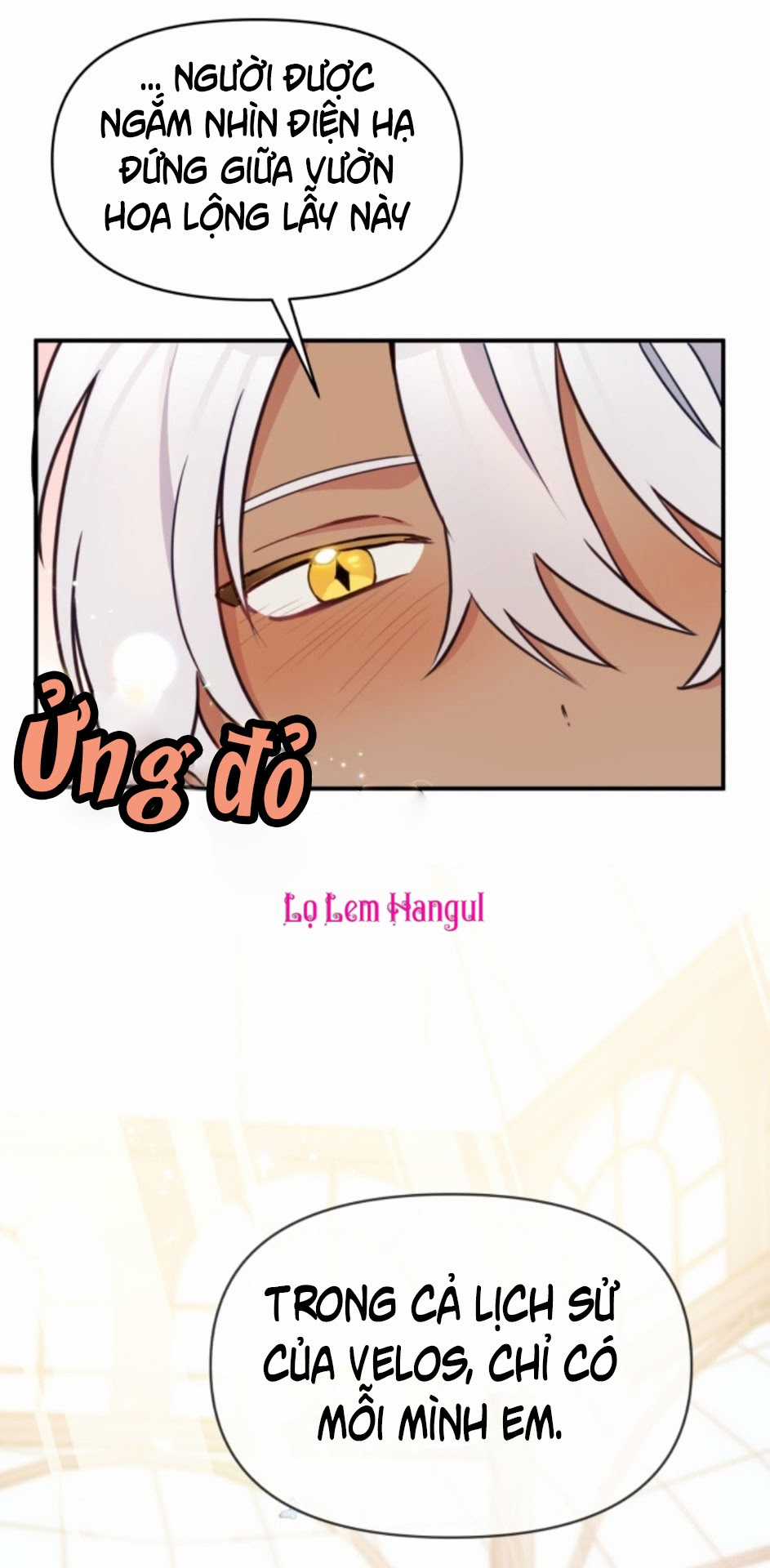 Hộ Vệ Của Bạo Chúa Là Ác Nữ Chapter 15 trang 27