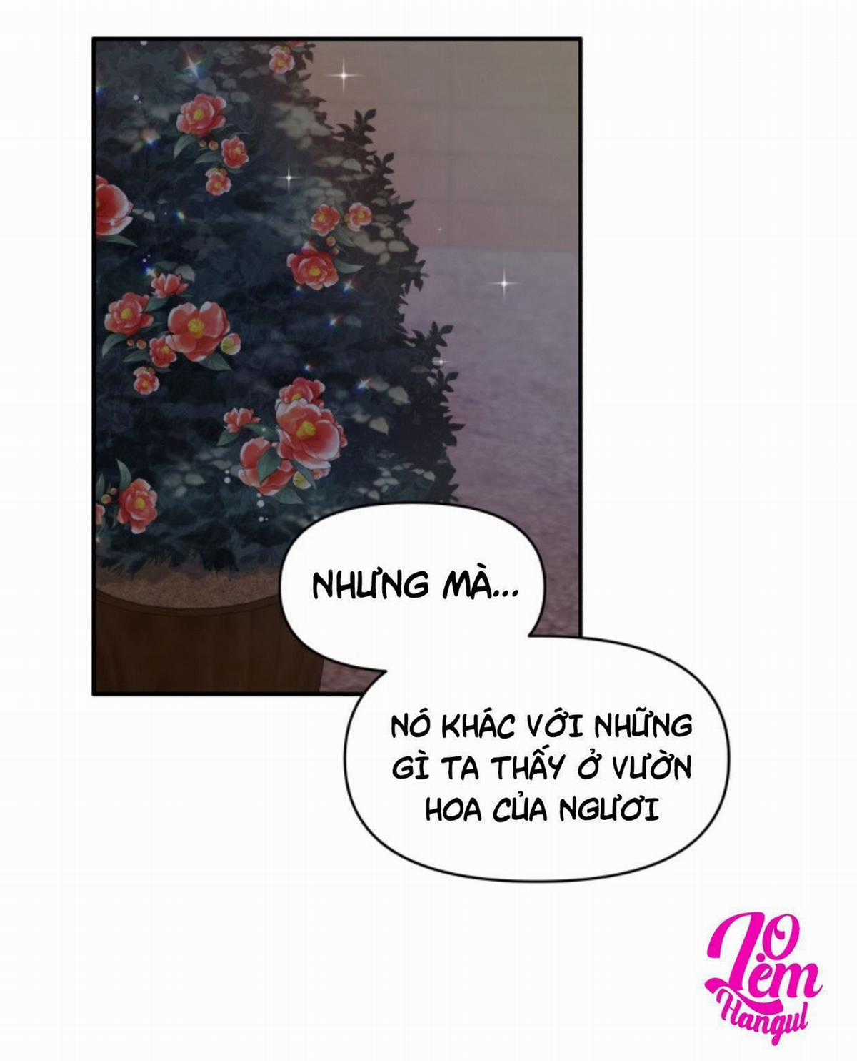 Hộ Vệ Của Bạo Chúa Là Ác Nữ Chapter 16 trang 7