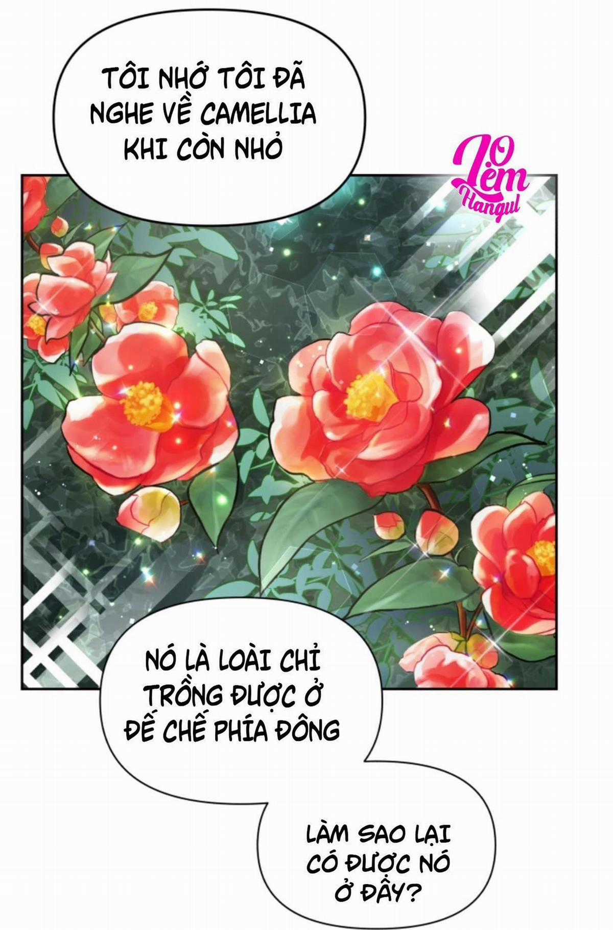 Hộ Vệ Của Bạo Chúa Là Ác Nữ Chapter 17 trang 8