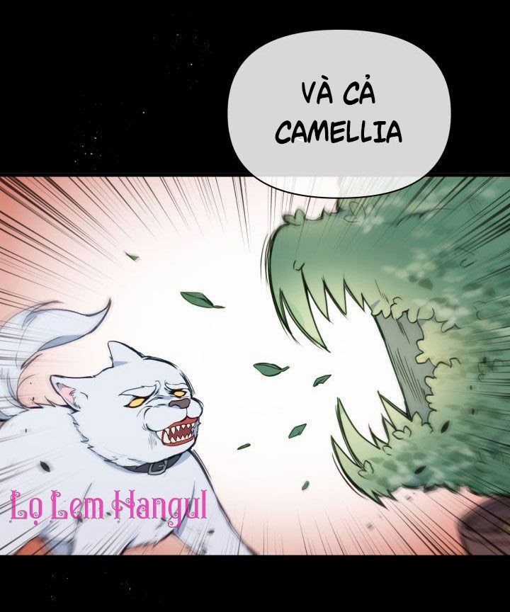 Hộ Vệ Của Bạo Chúa Là Ác Nữ Chapter 18 trang 7