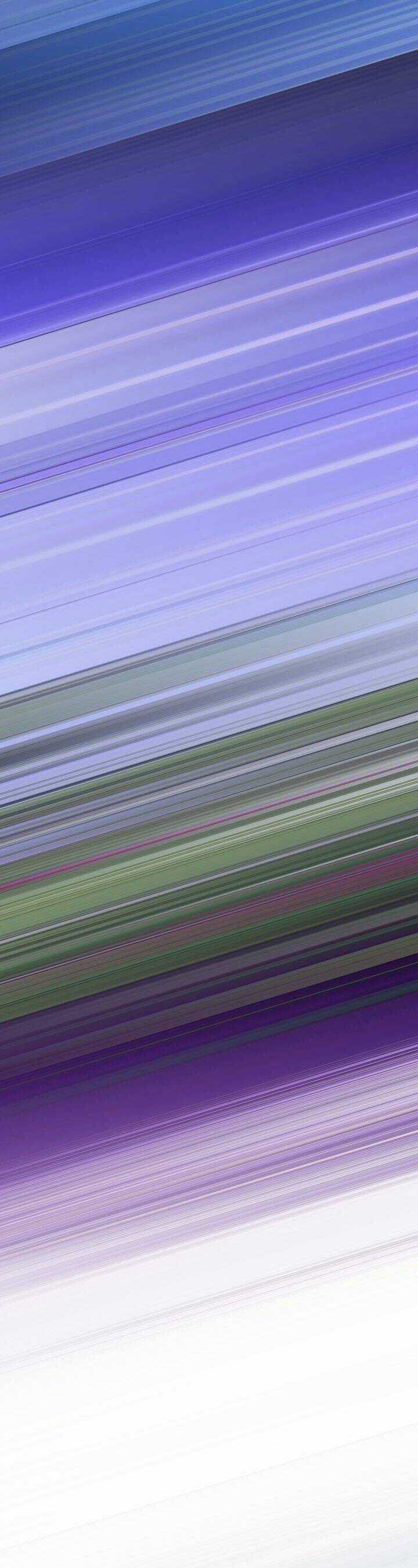 Hộ Vệ Của Bạo Chúa Là Ác Nữ Chapter 92 trang 11