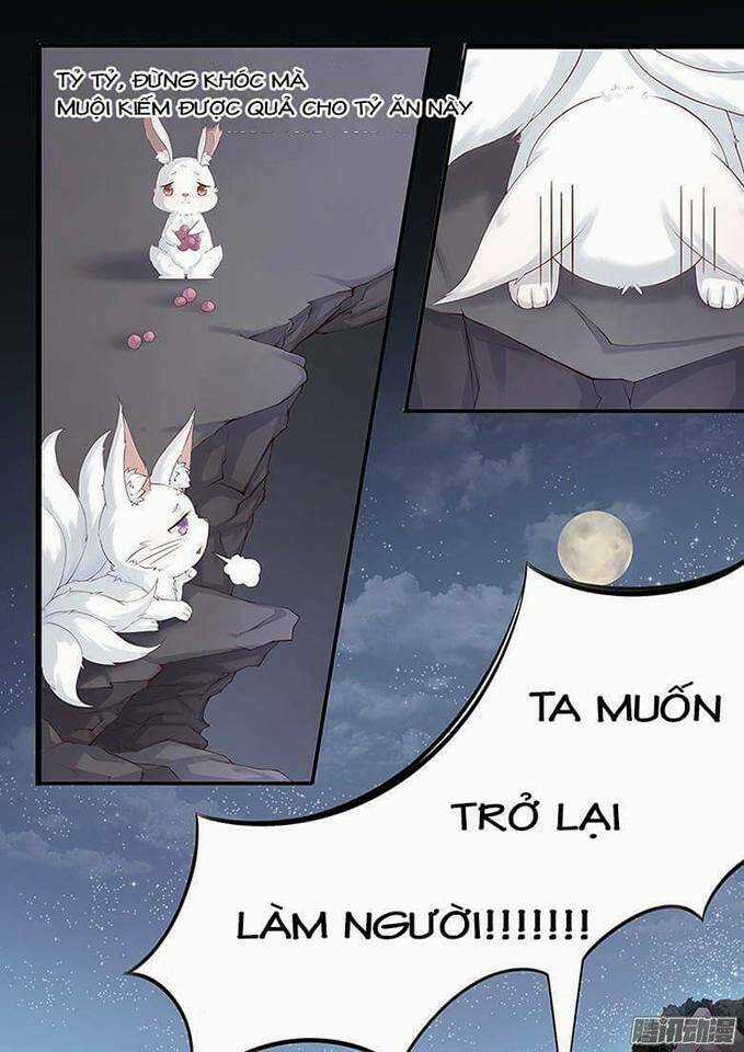 Hồ Yêu Thái Tử Phi Chapter 1 trang 10