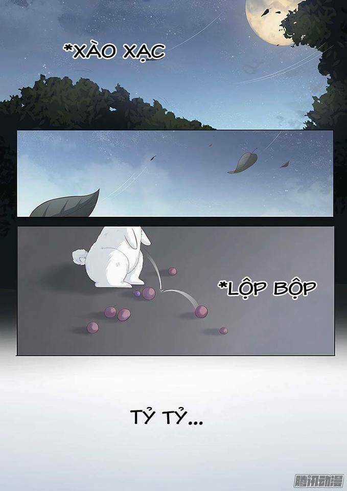 Hồ Yêu Thái Tử Phi Chapter 1 trang 11