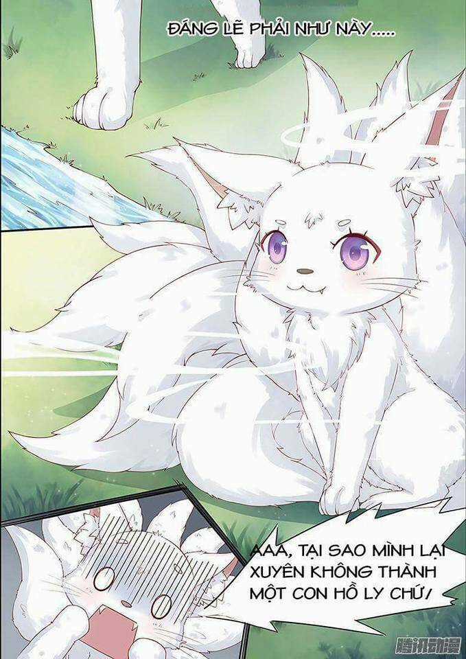 Hồ Yêu Thái Tử Phi Chapter 1 trang 3