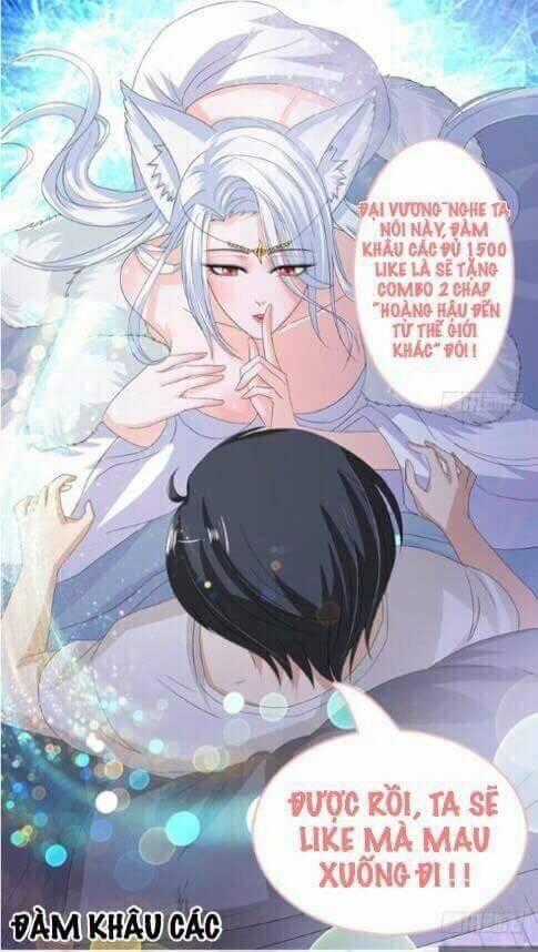 Hồ Yêu Thái Tử Phi Chapter 18 trang 10