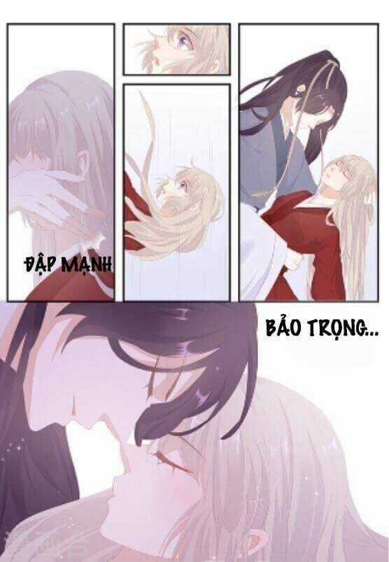 Hồ Yêu Thái Tử Phi Chapter 18 trang 8