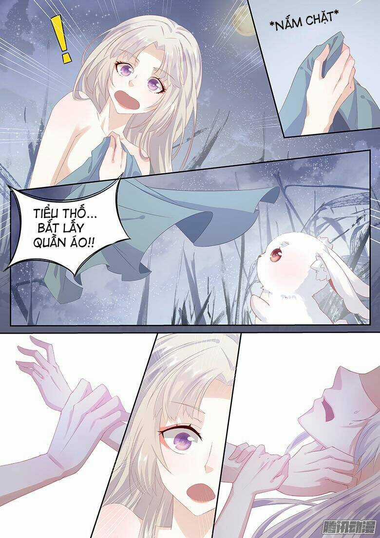 Hồ Yêu Thái Tử Phi Chapter 2 trang 5