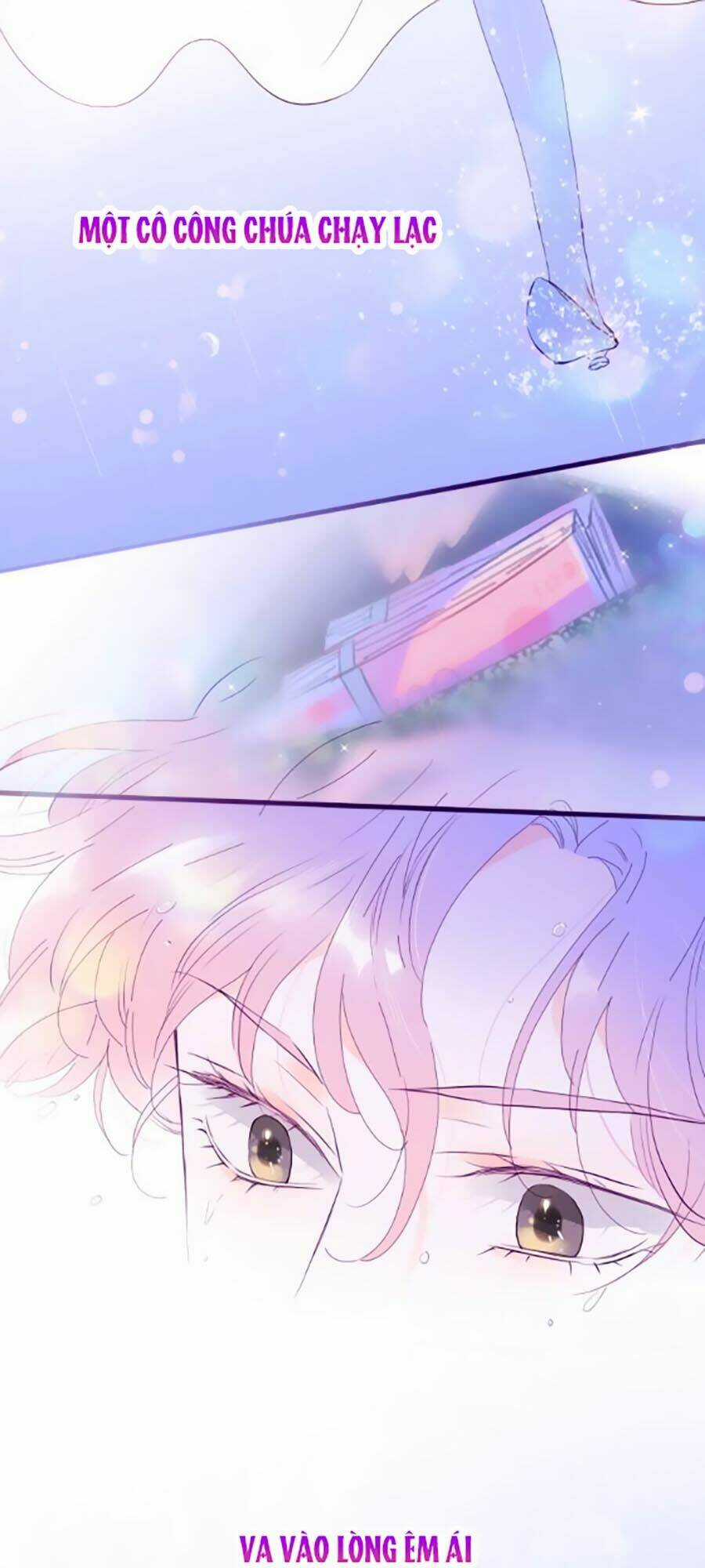 Hoa Bỏ Chạy Với Nhím Rồi Chapter 1.1 trang 3