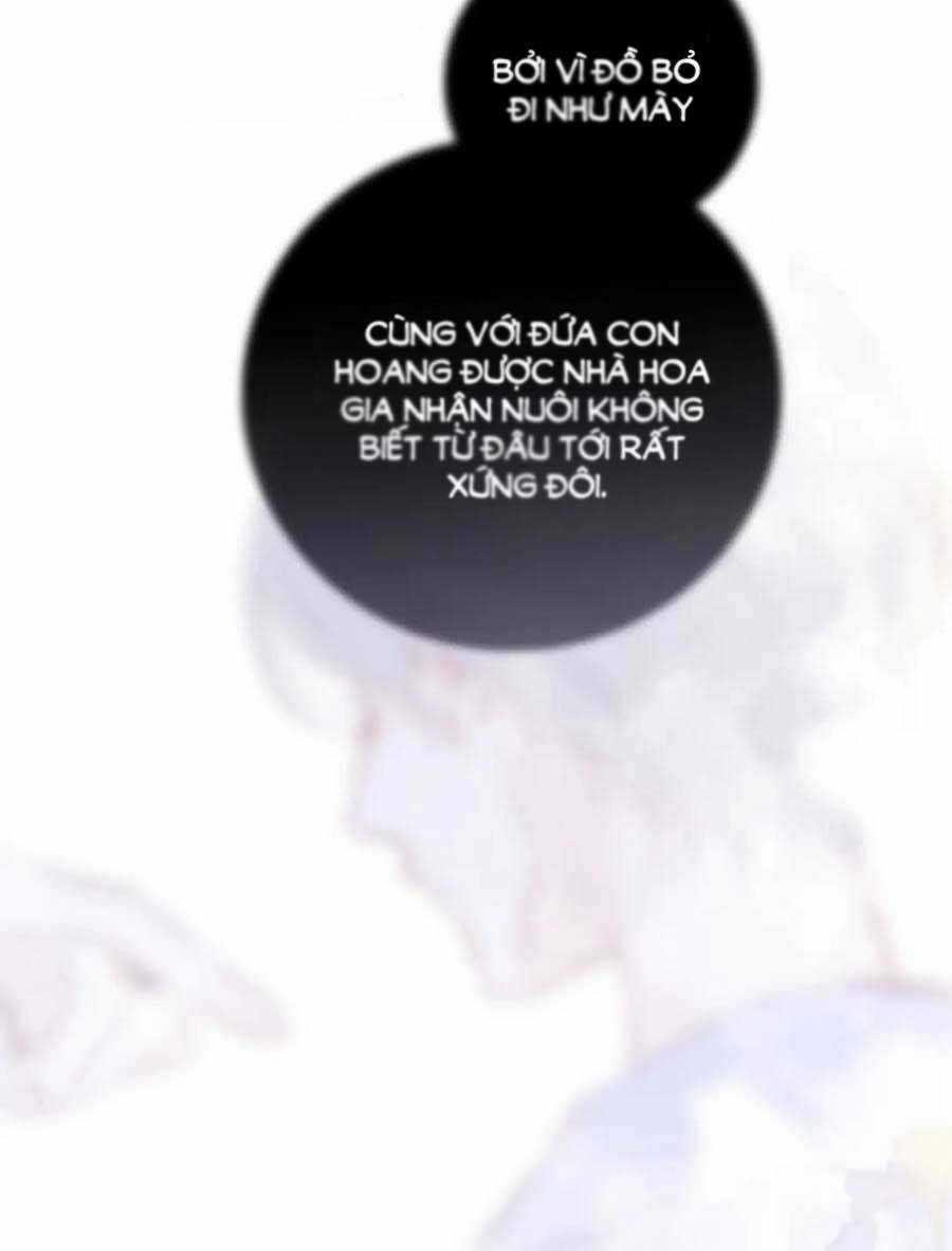 Hoa Bỏ Chạy Với Nhím Rồi Chapter 100 trang 54