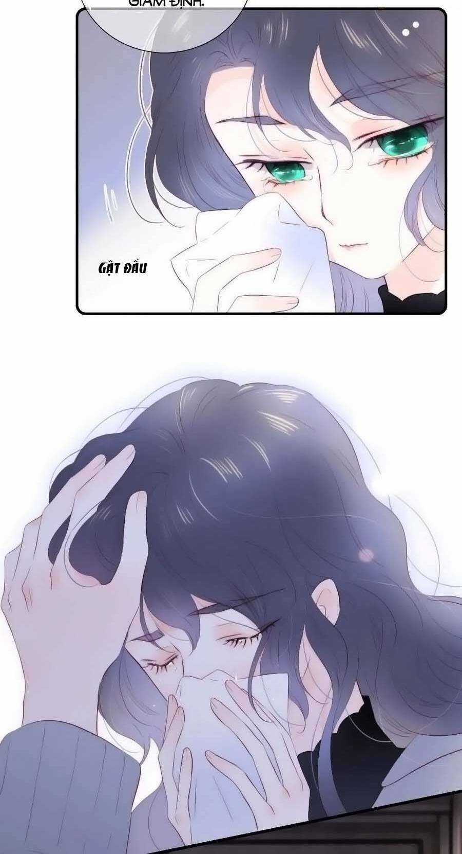 Hoa Bỏ Chạy Với Nhím Rồi Chapter 101 trang 16