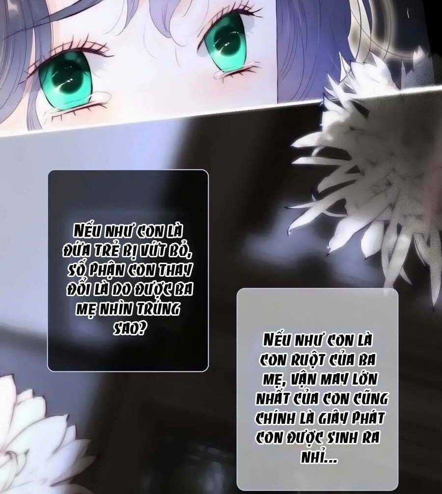 Hoa Bỏ Chạy Với Nhím Rồi Chapter 101 trang 6