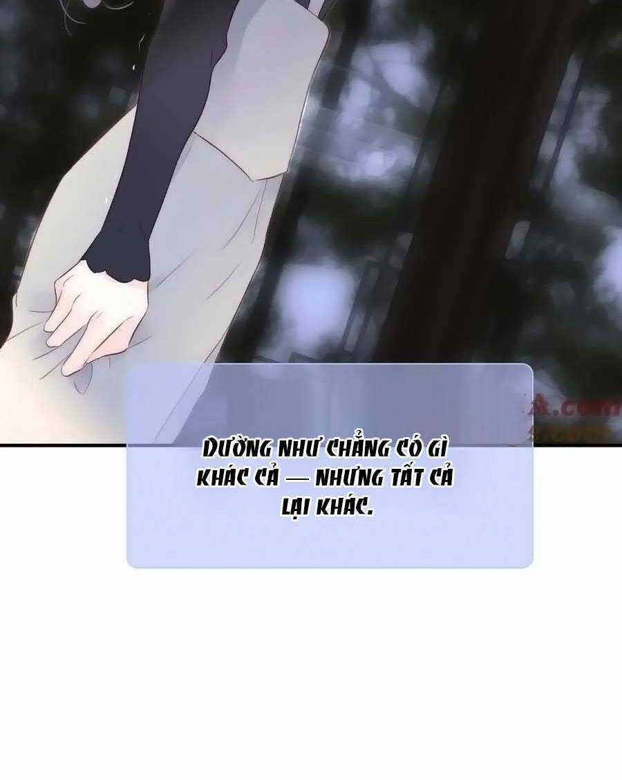 Hoa Bỏ Chạy Với Nhím Rồi Chapter 101 trang 8