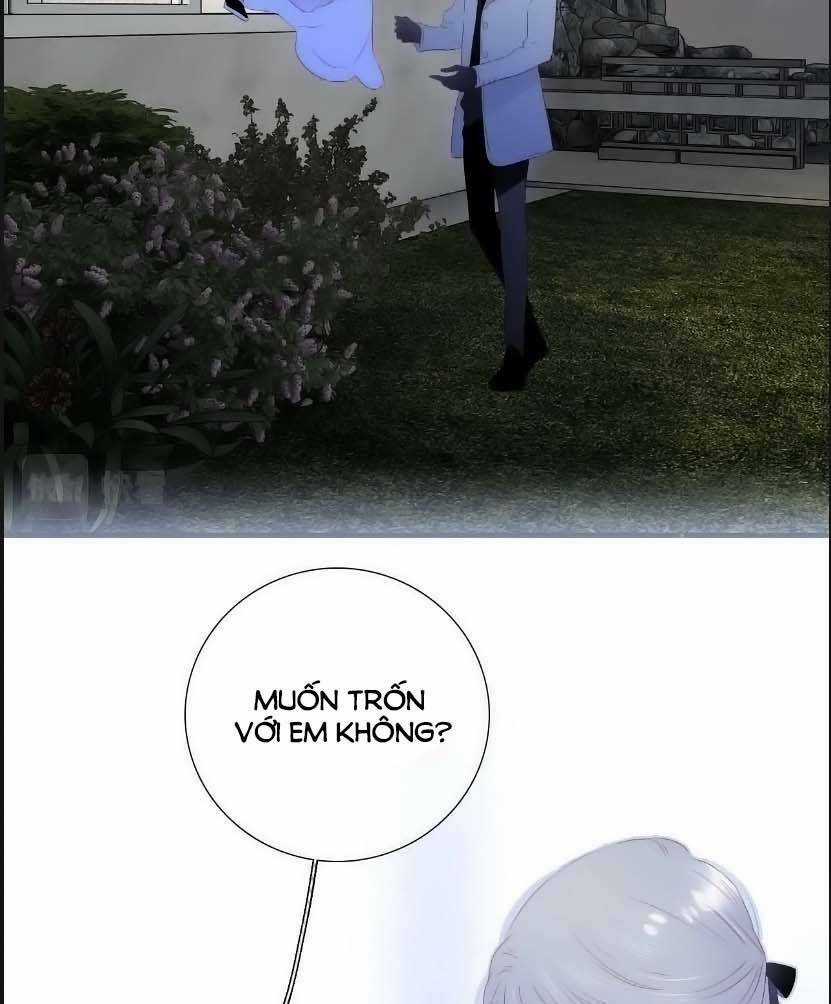 Hoa Bỏ Chạy Với Nhím Rồi Chapter 102 trang 32