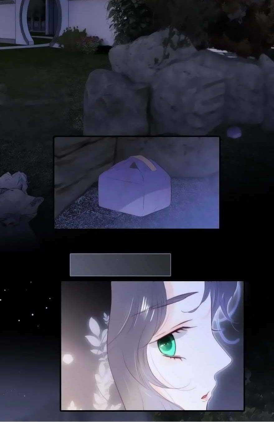 Hoa Bỏ Chạy Với Nhím Rồi Chapter 103 trang 36