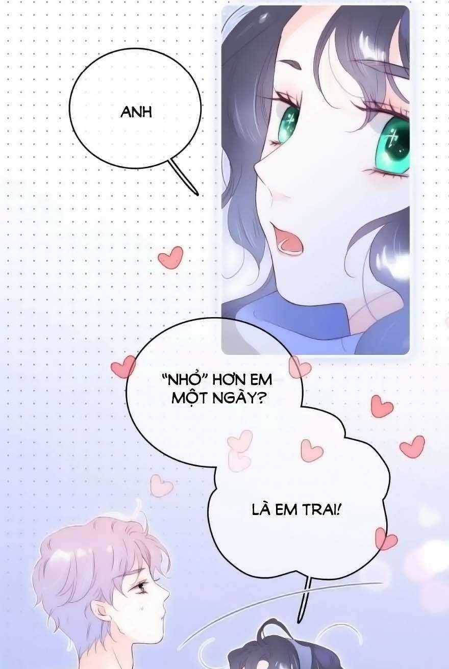 Hoa Bỏ Chạy Với Nhím Rồi Chapter 103 trang 47