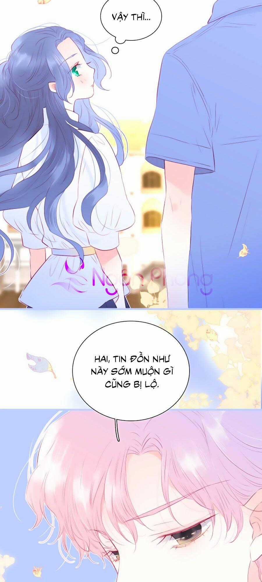 Hoa Bỏ Chạy Với Nhím Rồi Chapter 19 trang 1