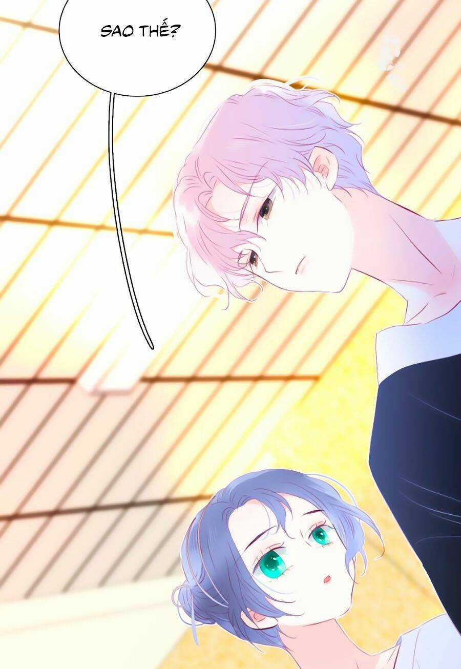 Hoa Bỏ Chạy Với Nhím Rồi Chapter 19 trang 31