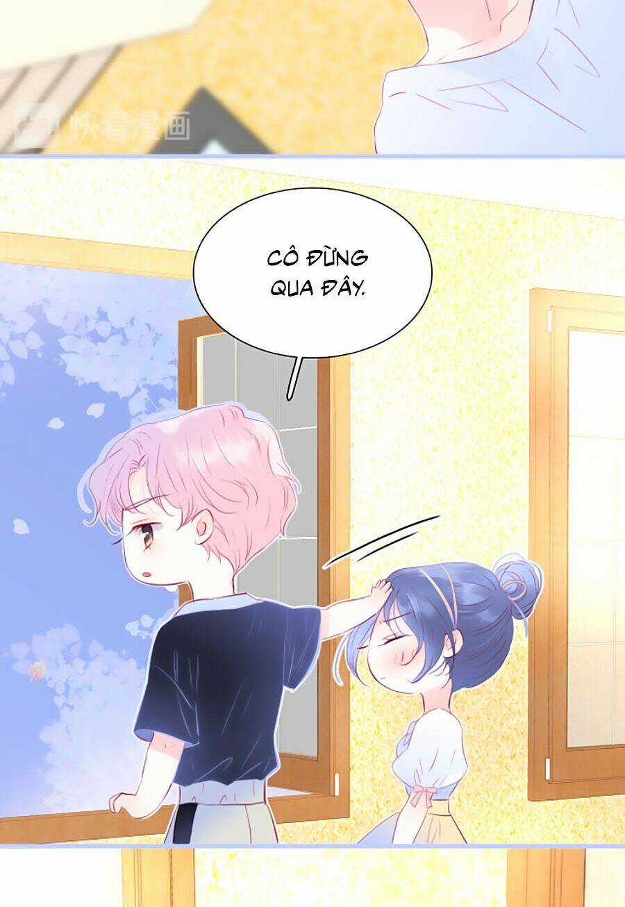 Hoa Bỏ Chạy Với Nhím Rồi Chapter 19 trang 32