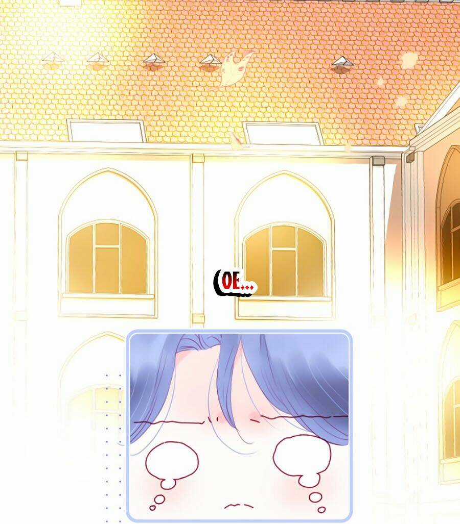 Hoa Bỏ Chạy Với Nhím Rồi Chapter 19 trang 6