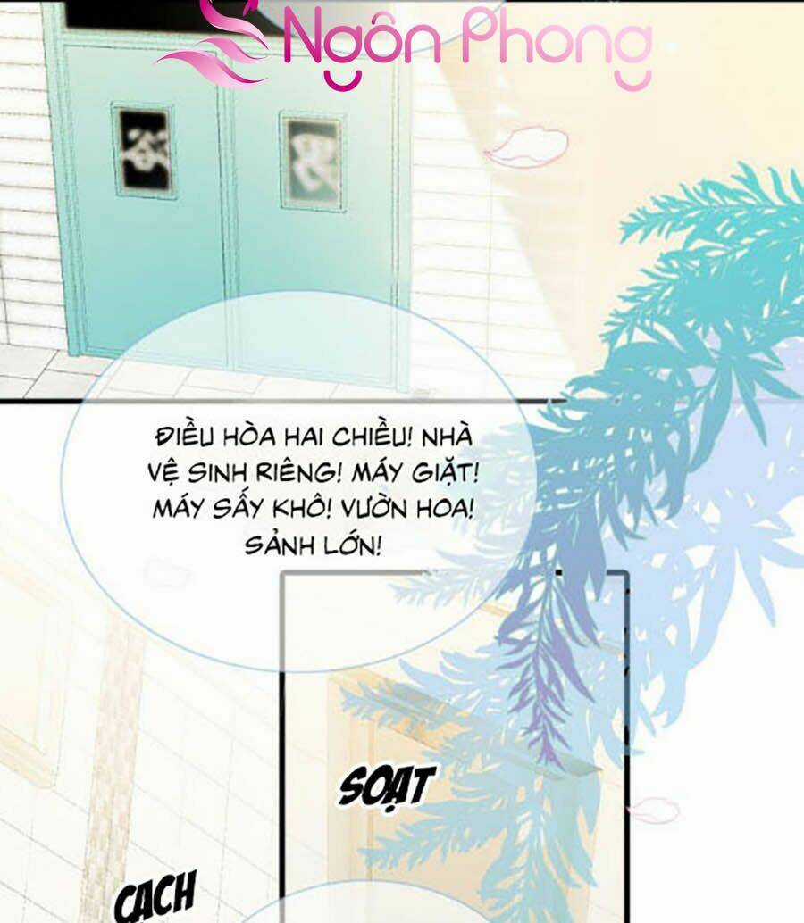 Hoa Bỏ Chạy Với Nhím Rồi Chapter 2 trang 39